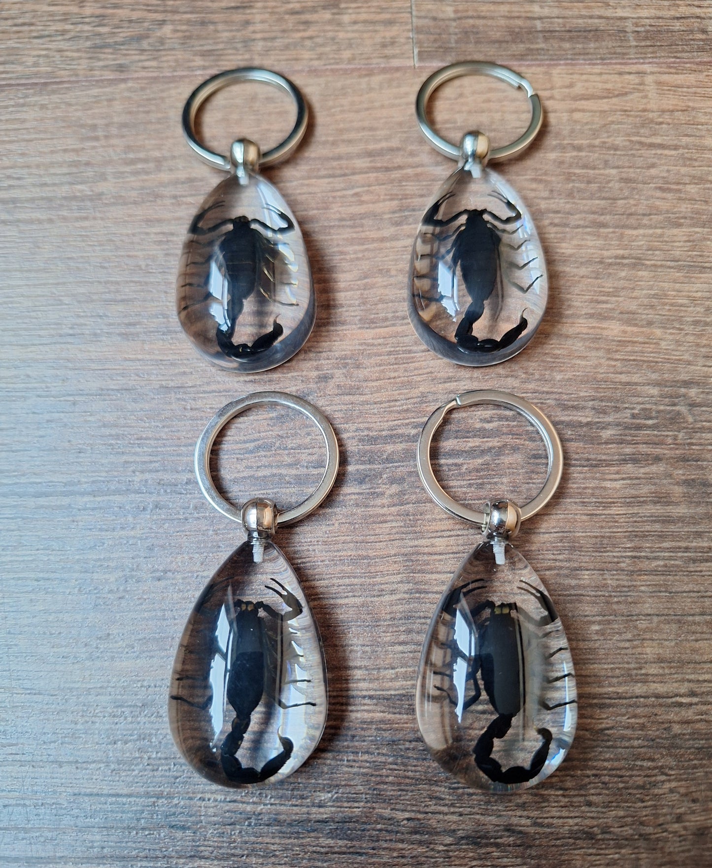 Scorpion in resin keychain