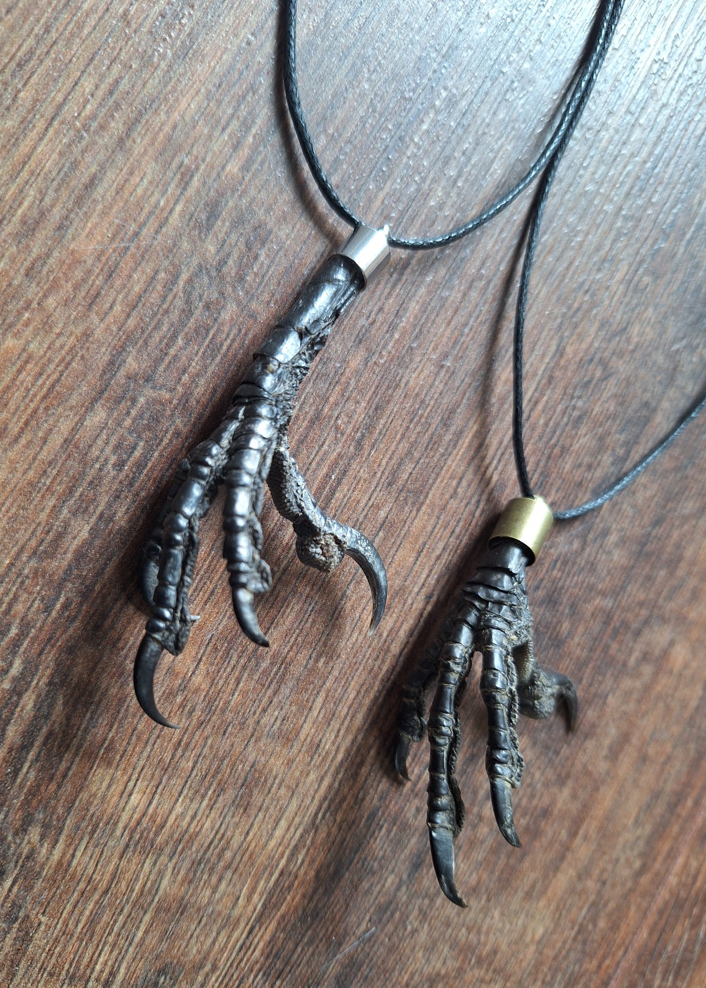 Crow claw amulet necklace