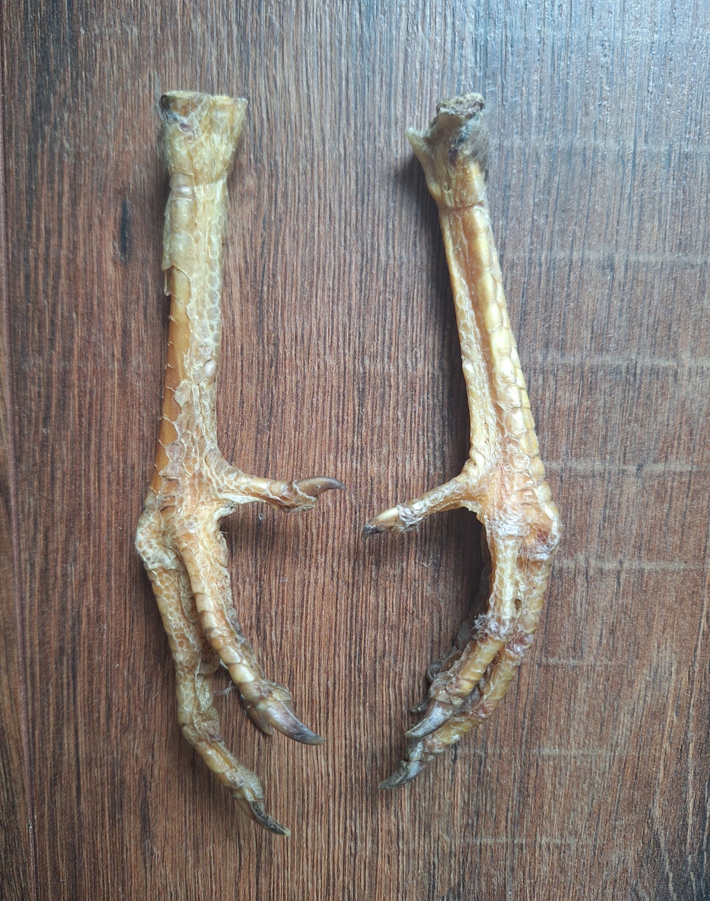 Chicken lower legs, set of 2