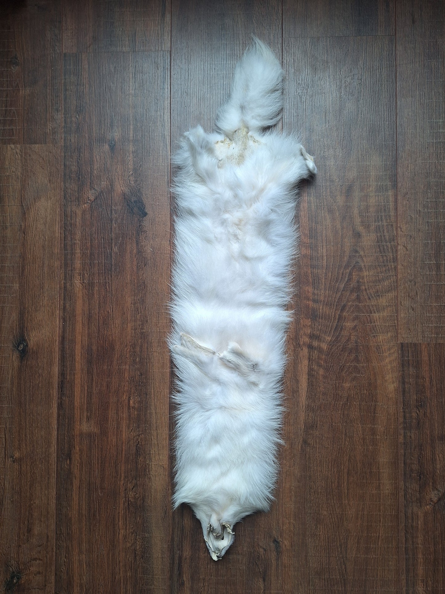Polar fox hide, B-quality