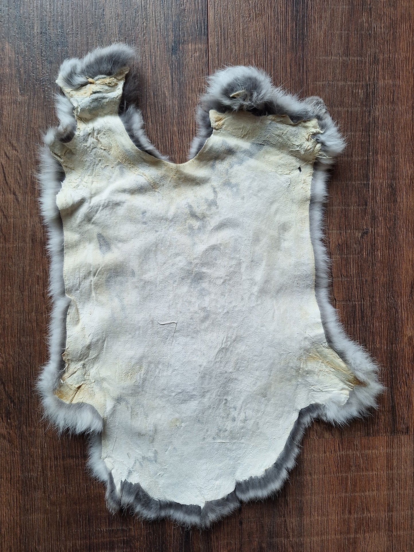 Rabbit hide #5