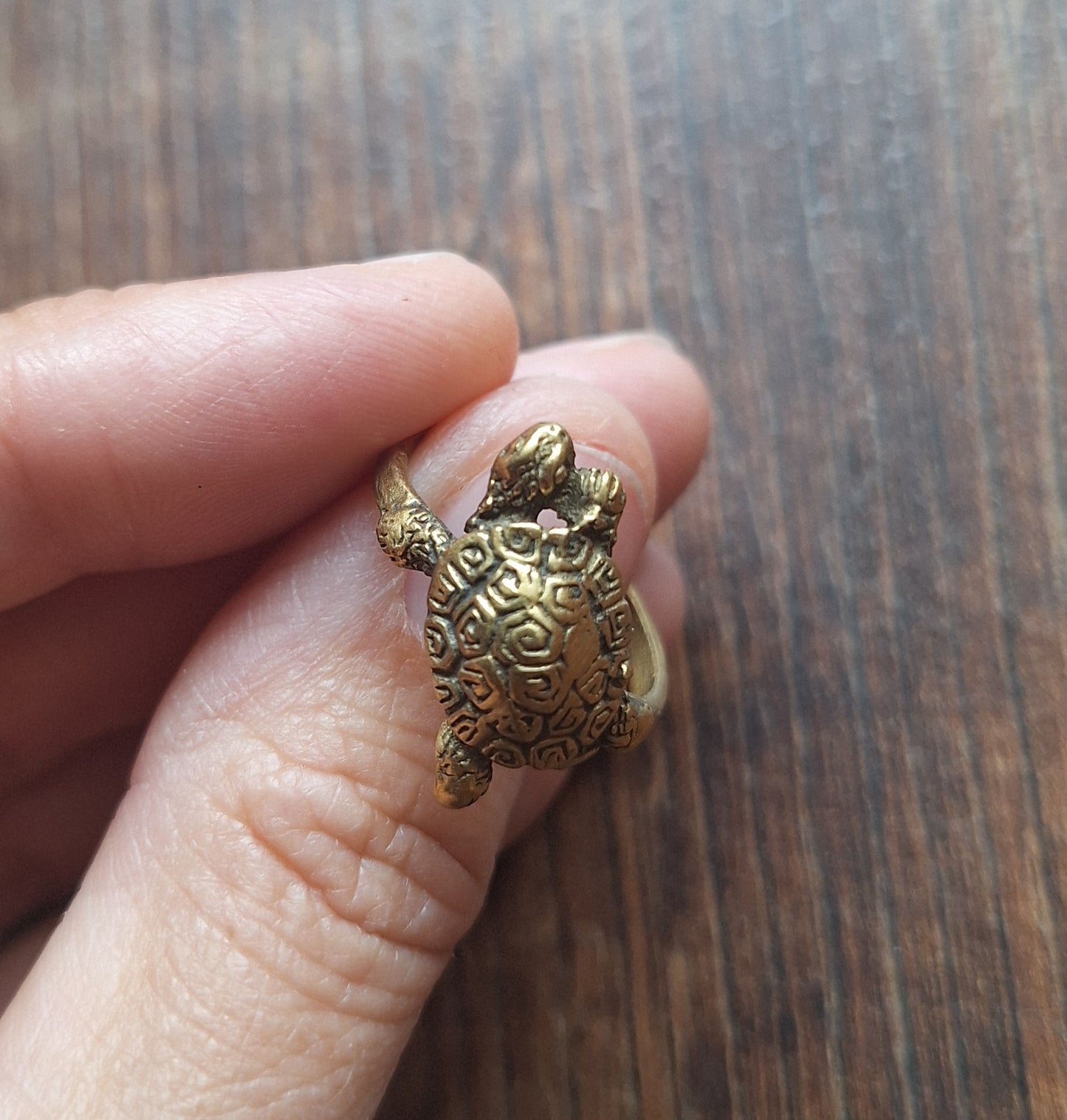 Brass ring Turtle