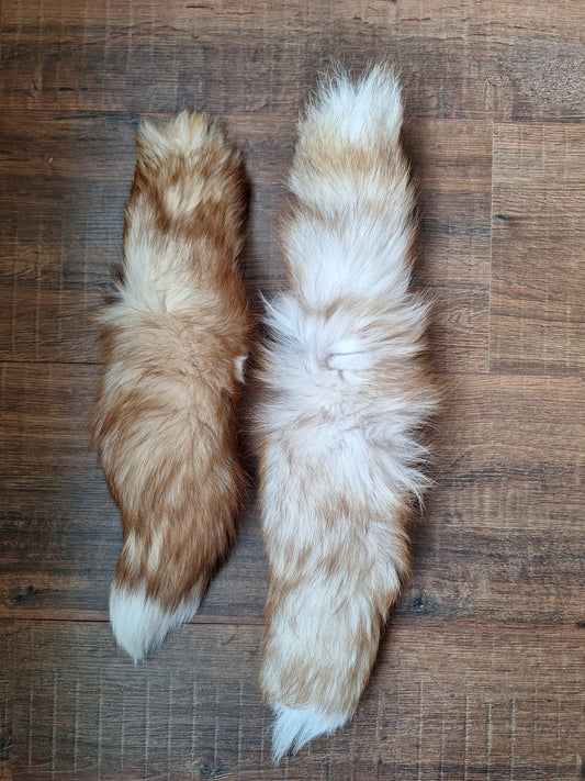 Painted silverfox tails