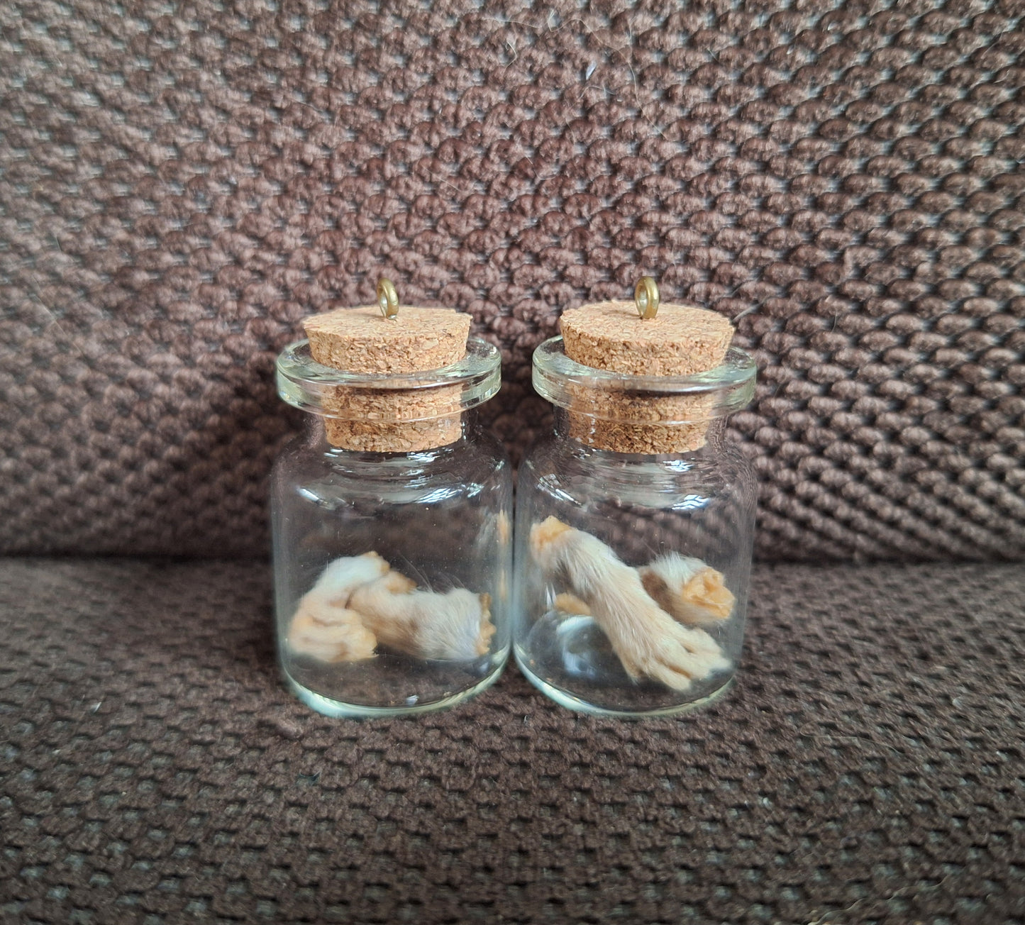 Rat paws bottle