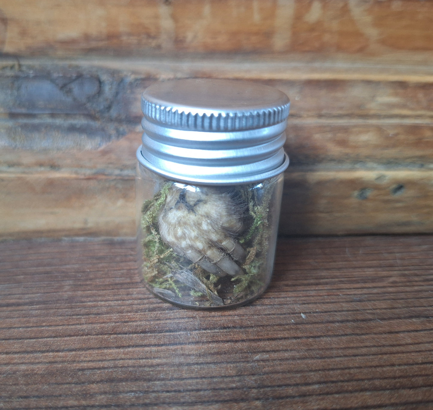 Mole paws in glass bottle