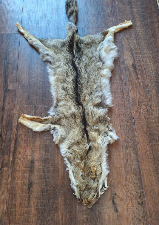 Cape fox hide #4, B-quality