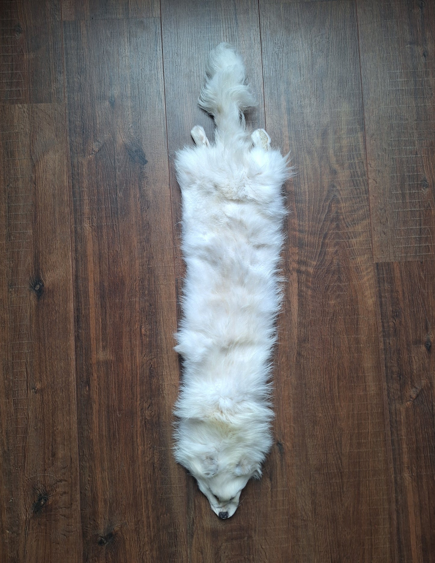 Polar fox hide