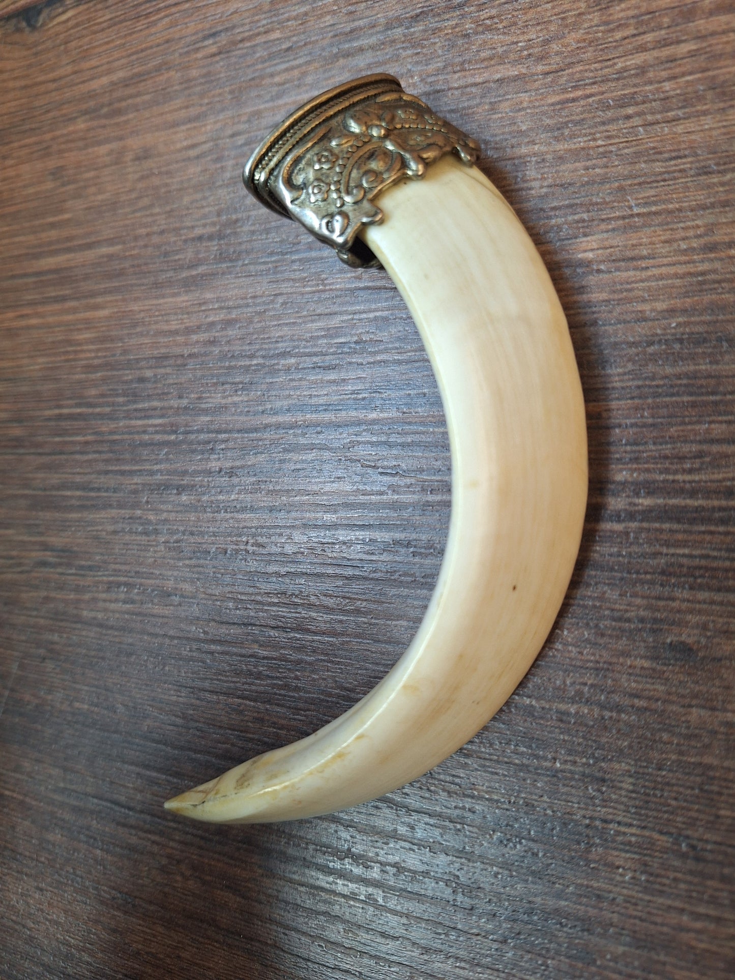 Vintage Nepalese wild boar tusk pendant
