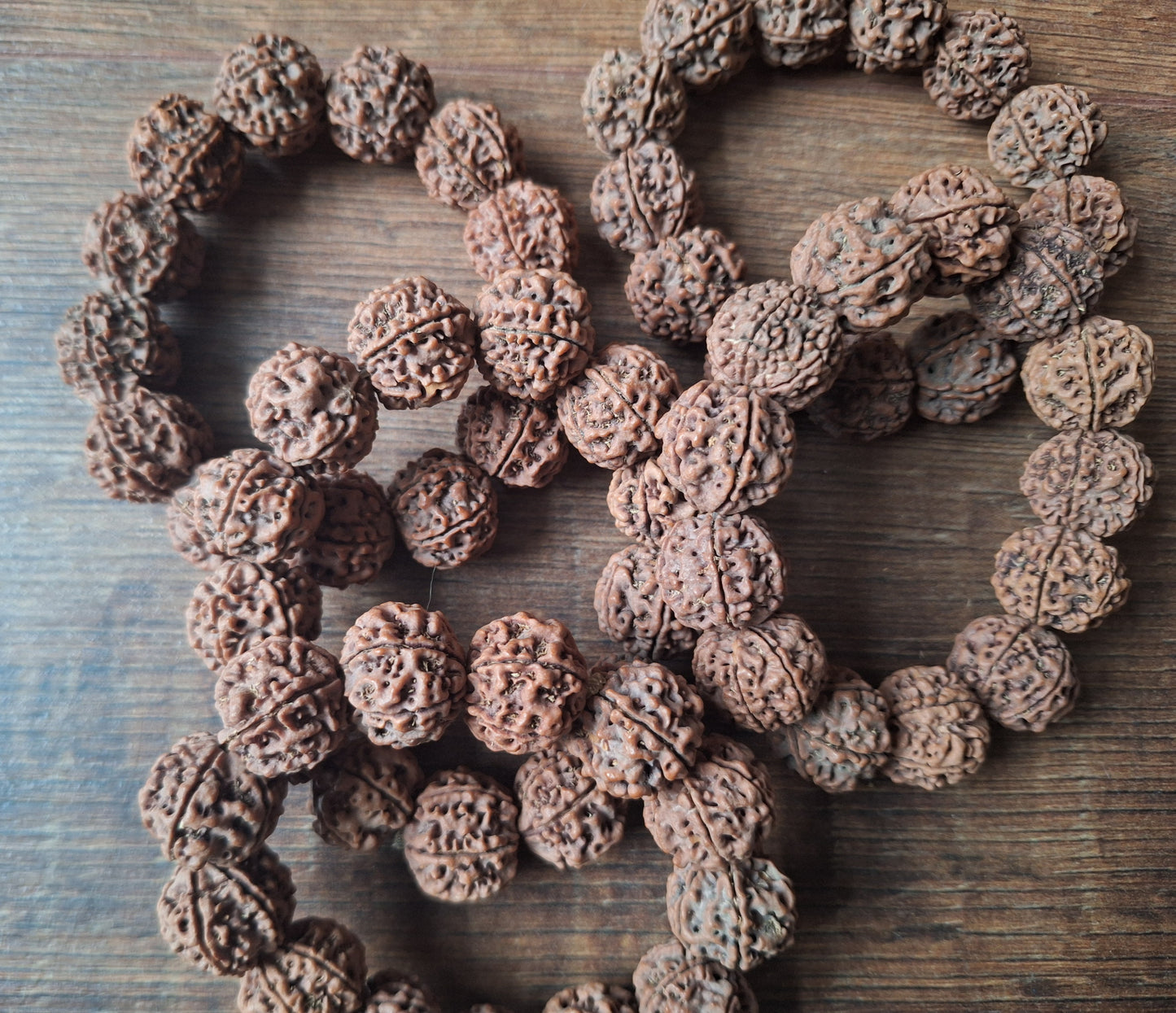 Rudraksha bracelets 6 mukhi