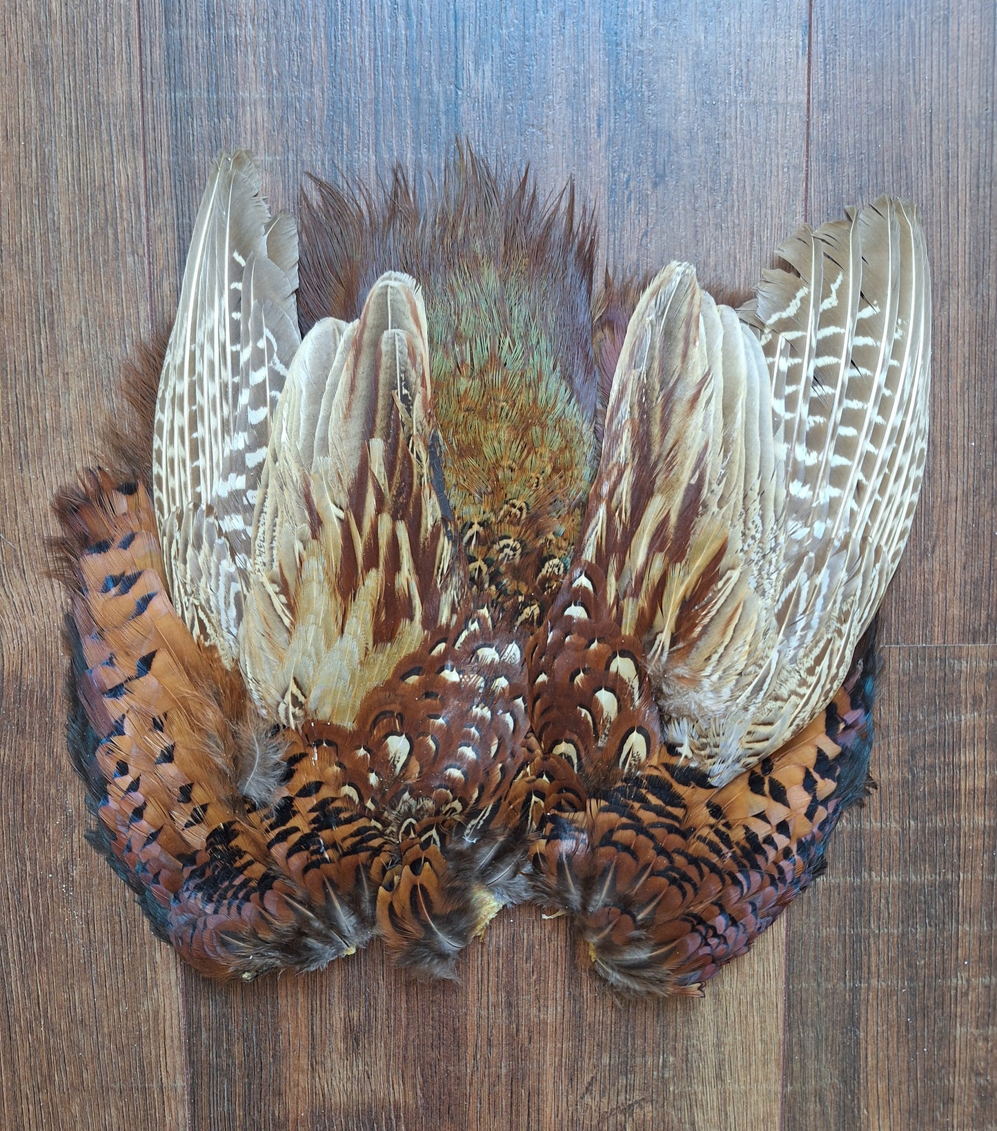 Pheasant skin
