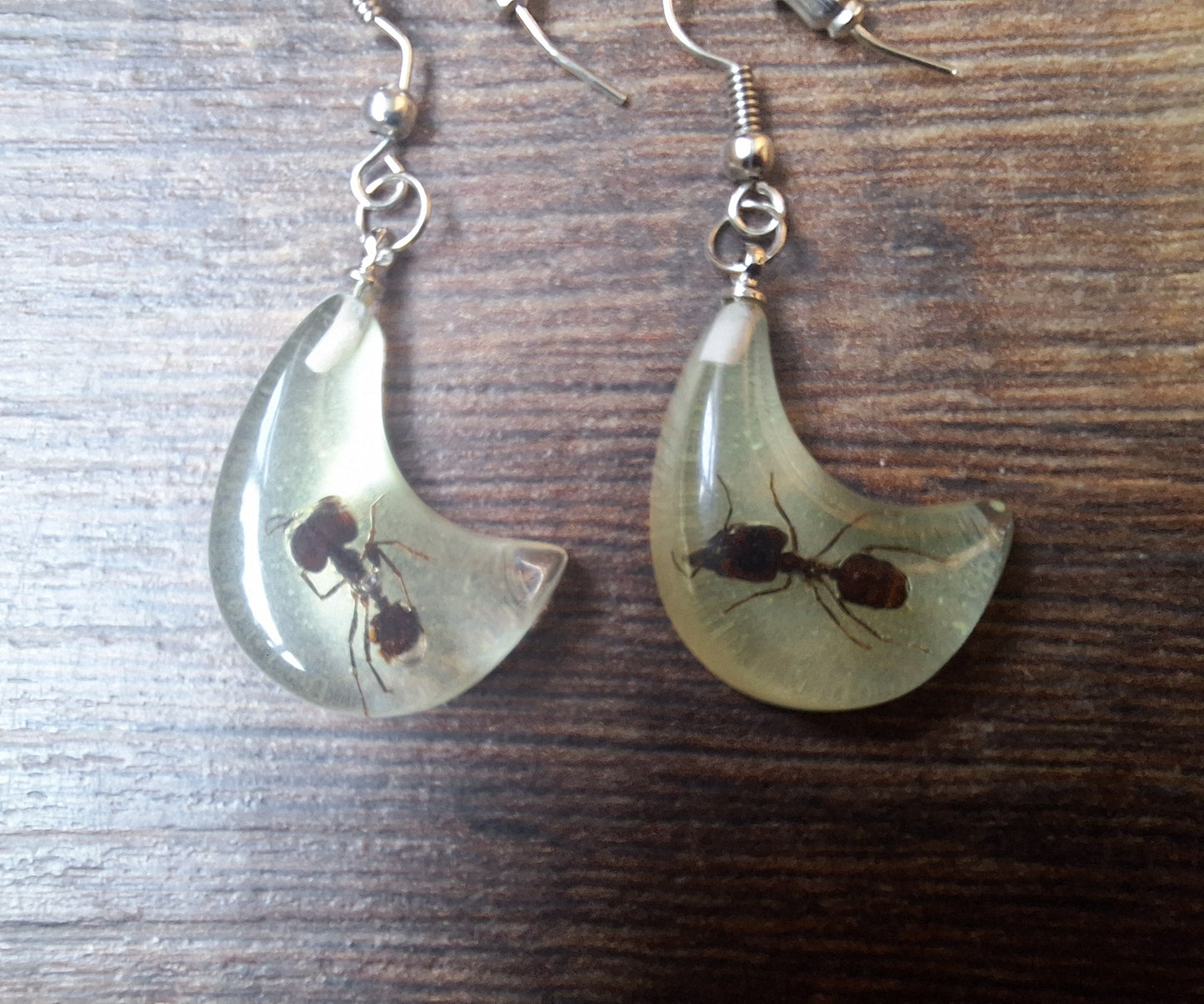 Ants in glow-in-the-dark resin earrings
