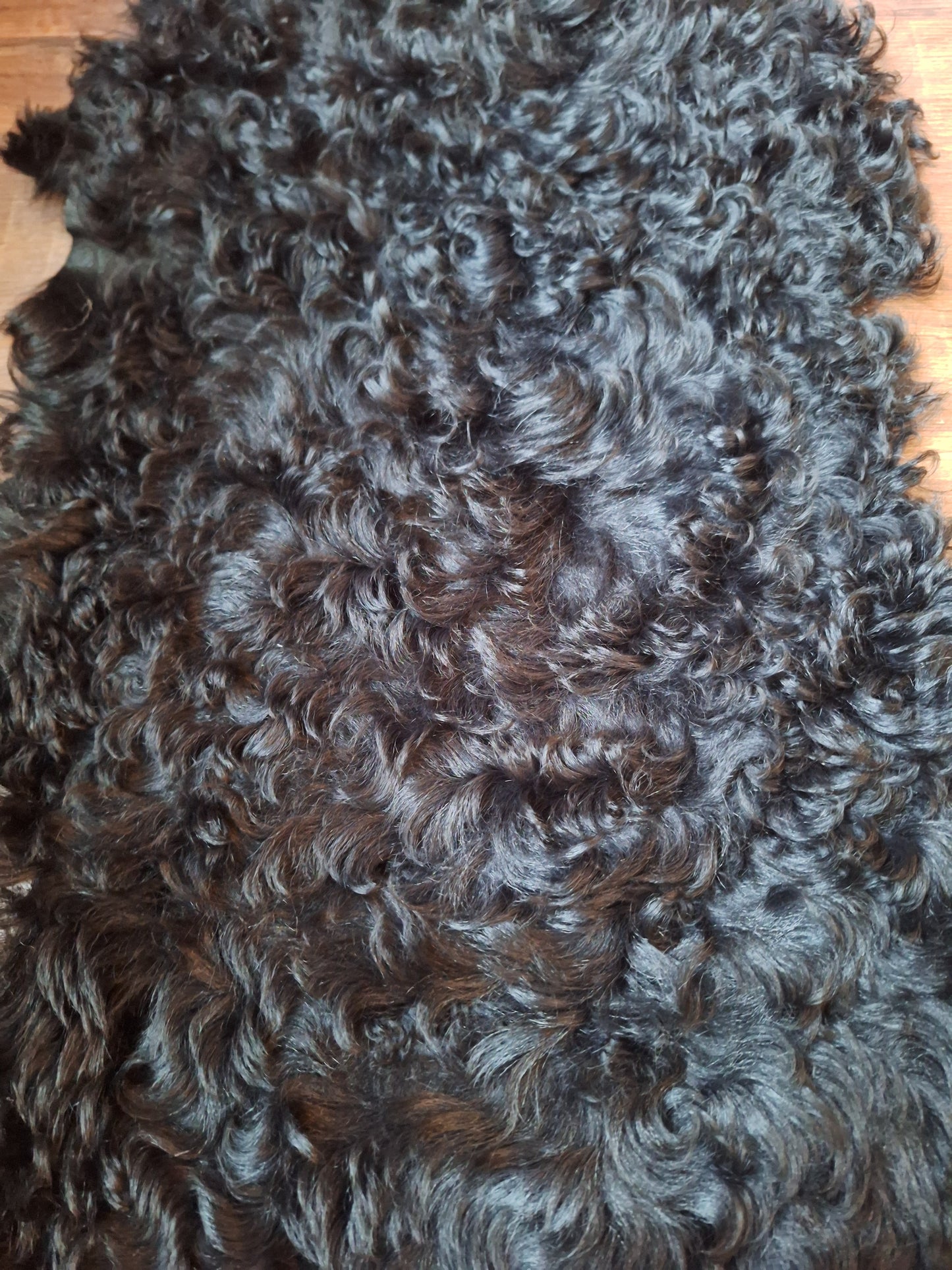 Tigrado sheep hide #1