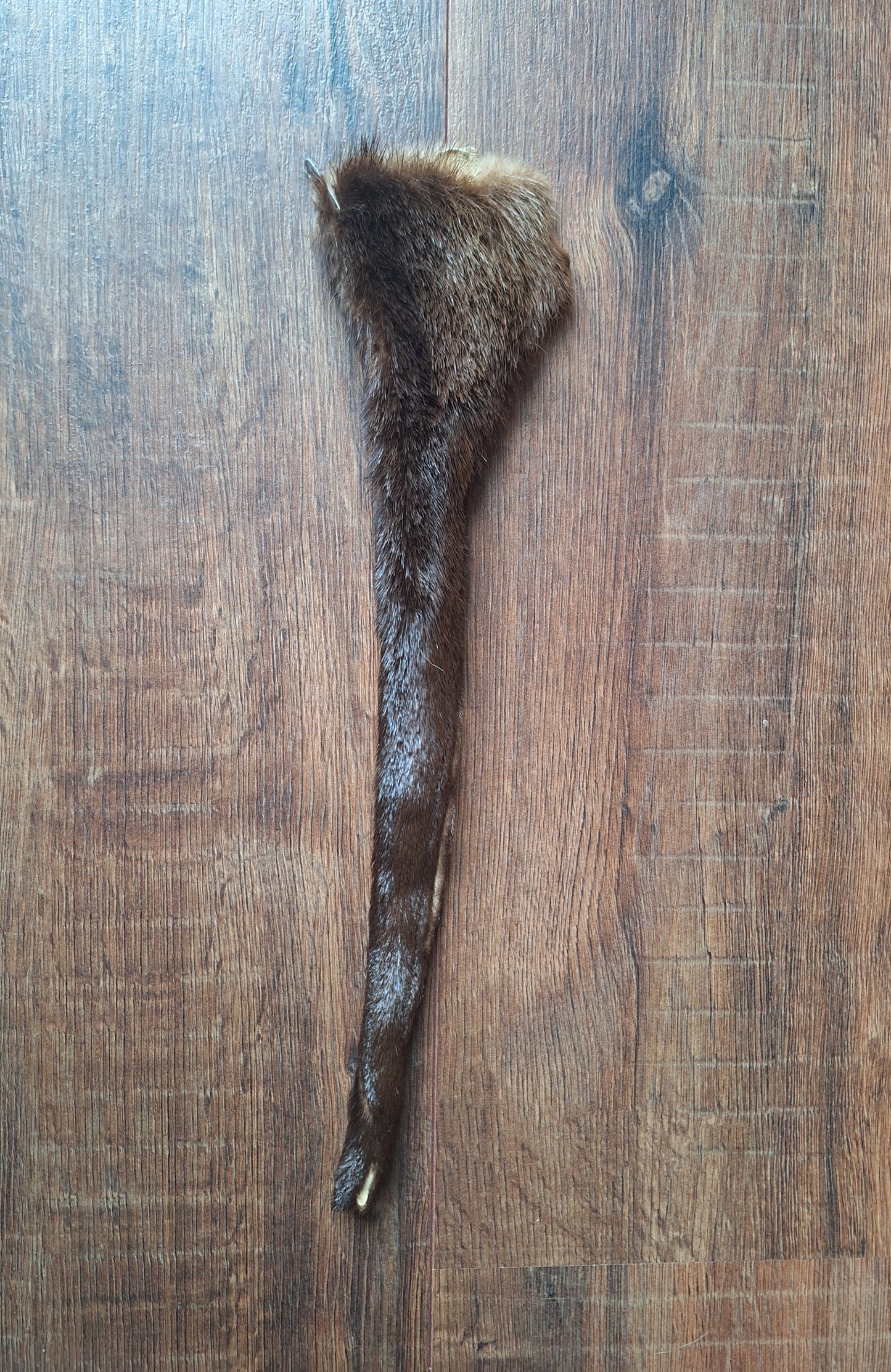 Otter tails