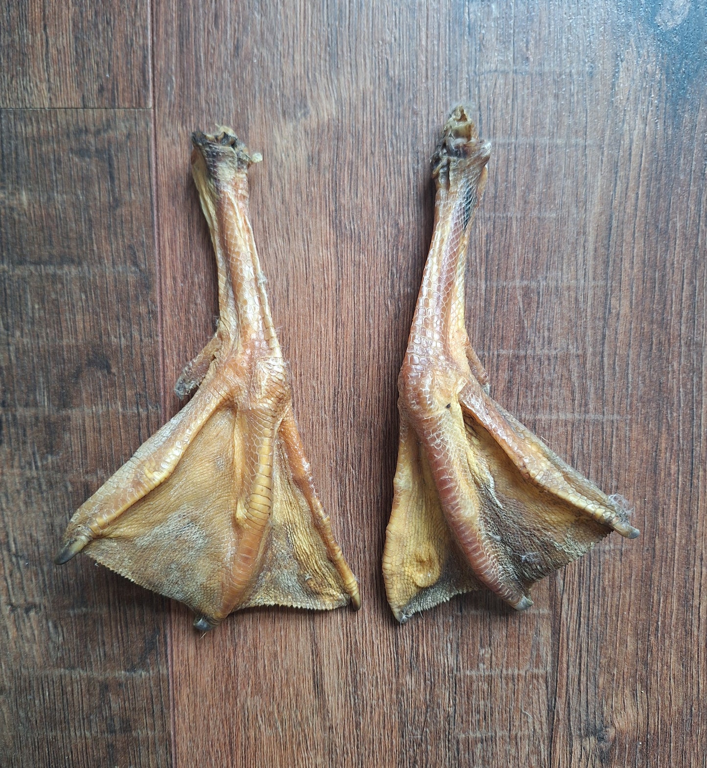 Goose lower legs, set of 2