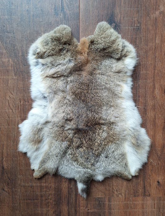 Rabbit hide #12