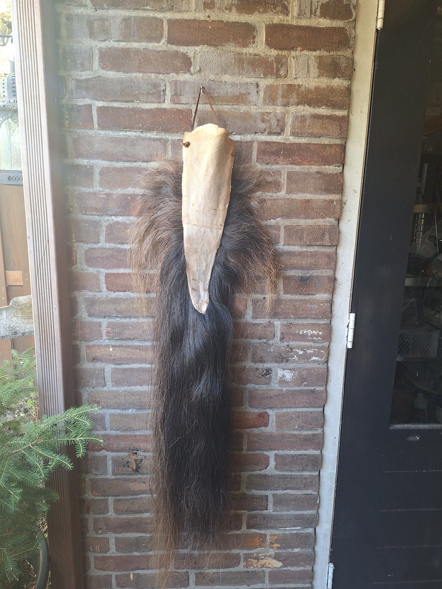 Horse tail #8, complete tail