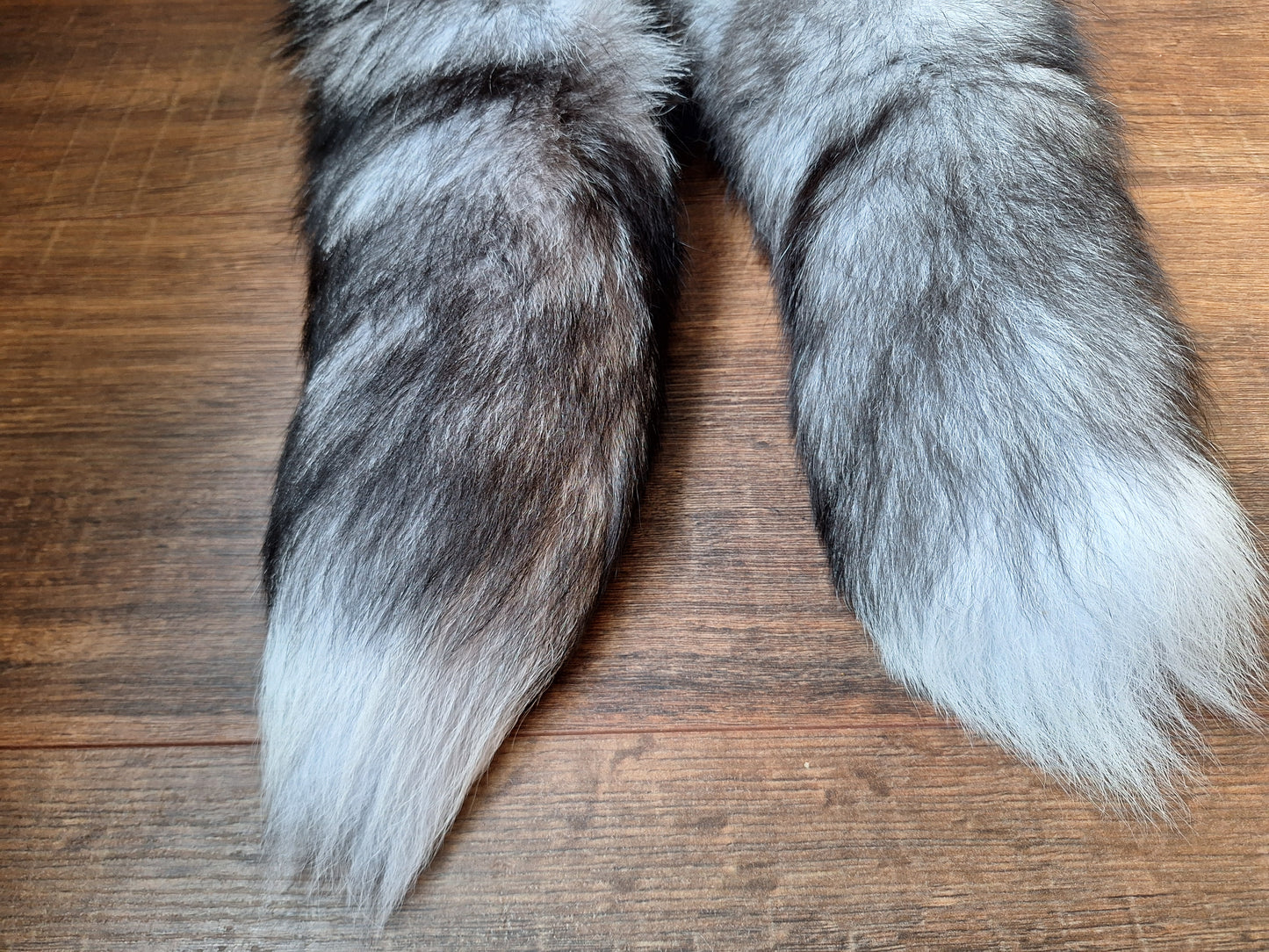 Painted silverfox tails