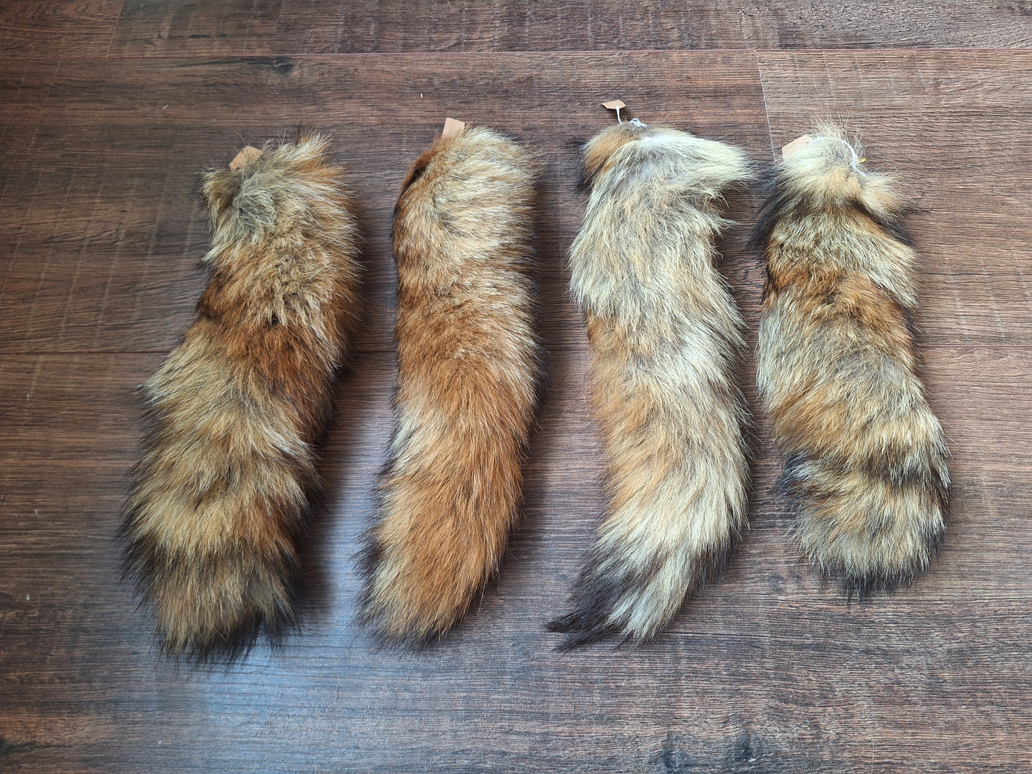 Red fox tails