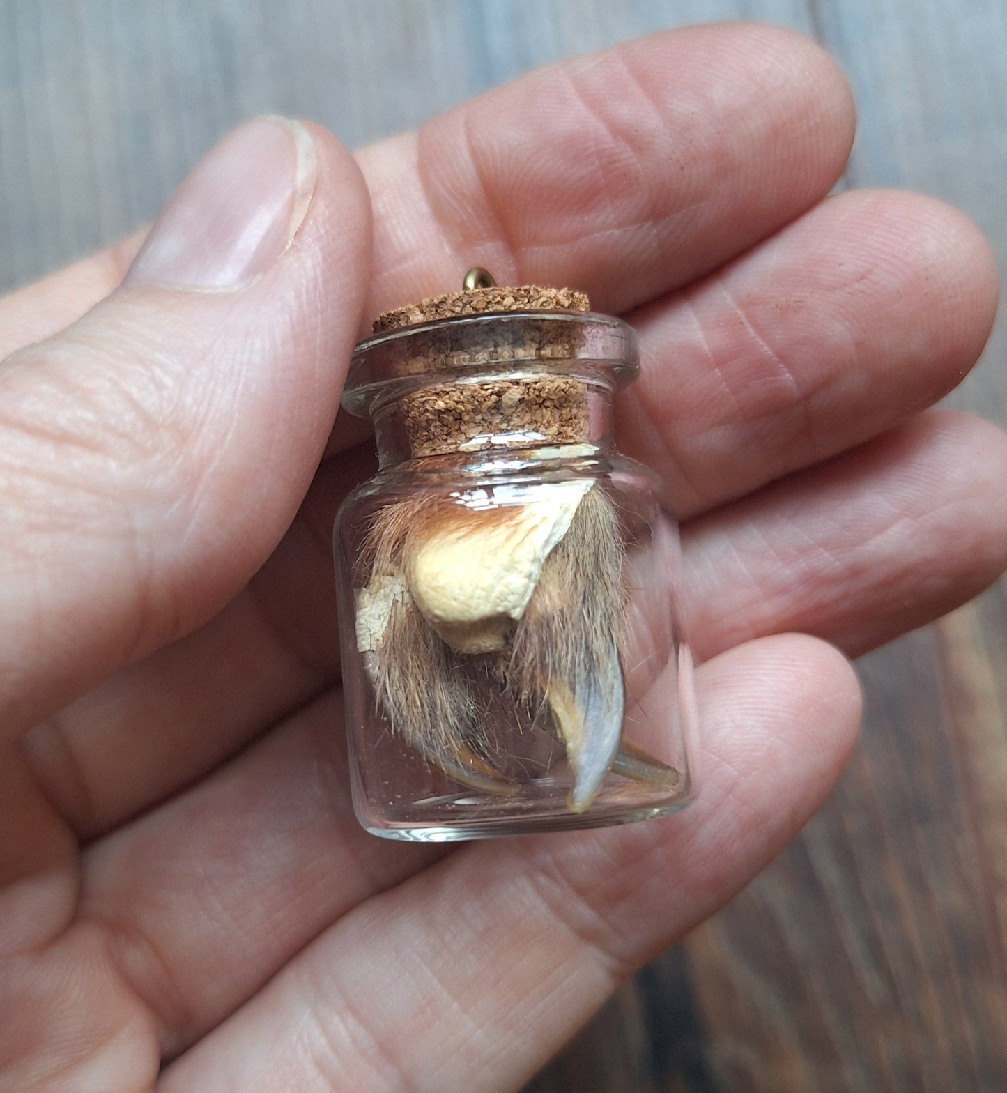 Fox nails bottle