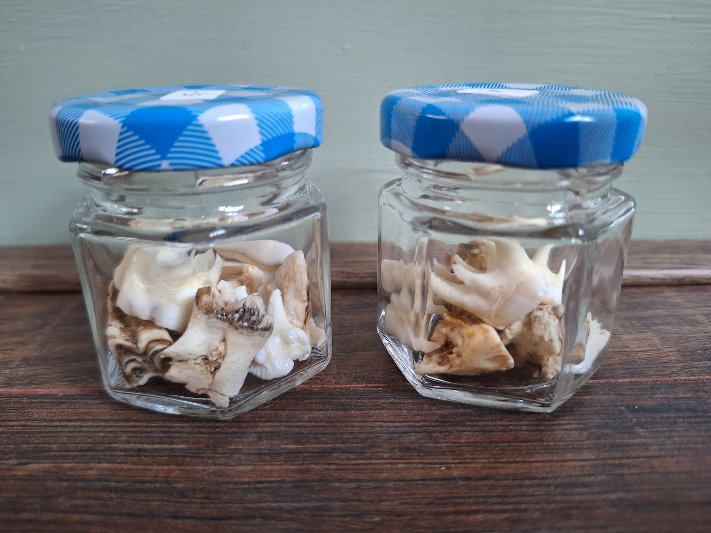 Roe deer teeth in glass jar