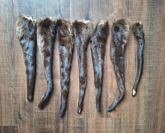 Otter tails