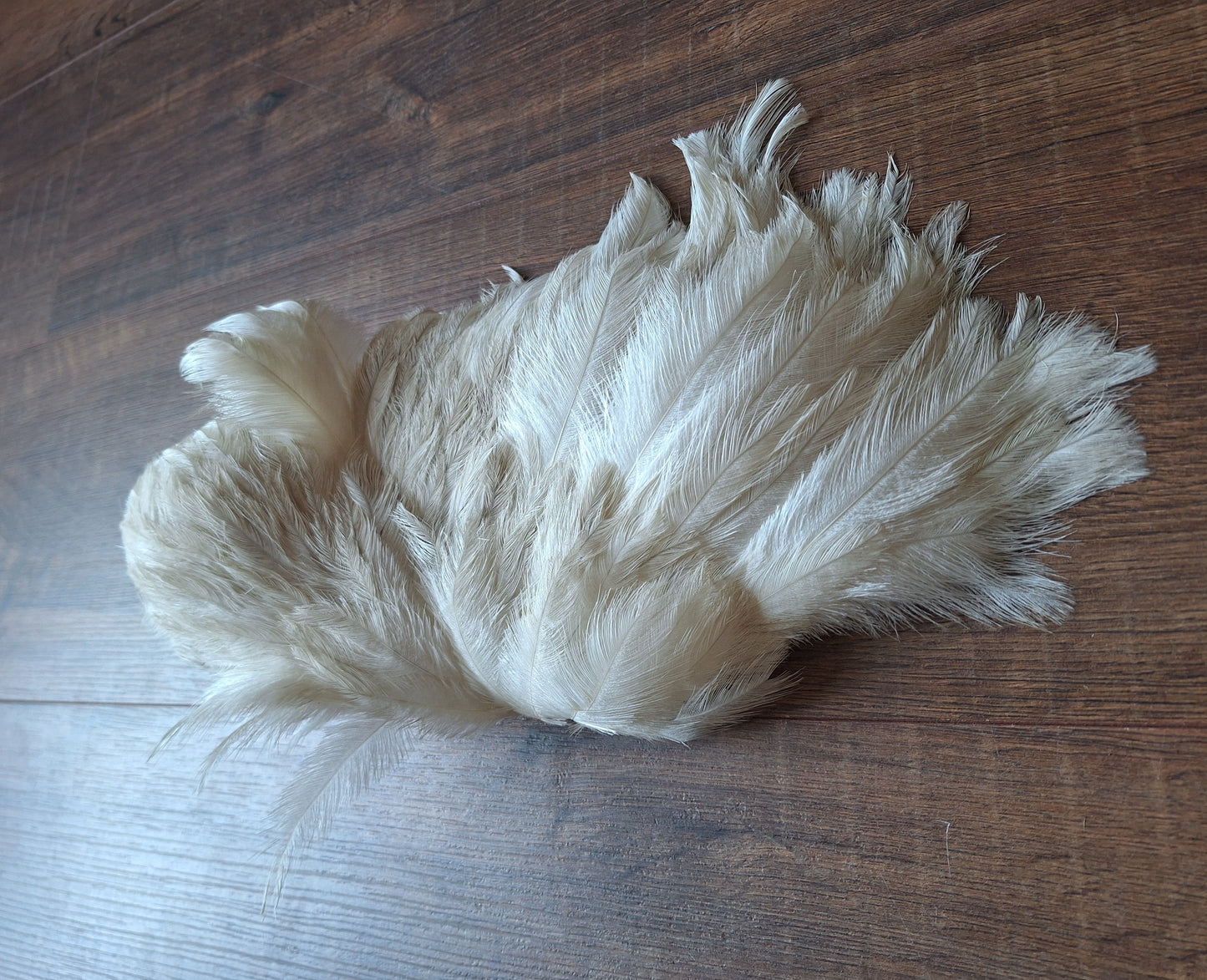 Nandu wing piece, small