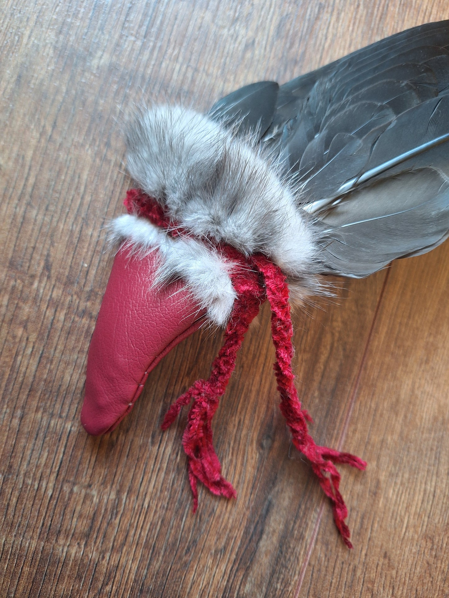 Barnacle goose wing fan