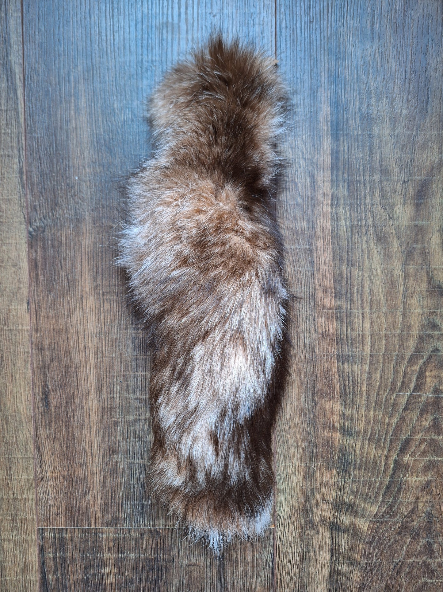 Painted silverfox tails