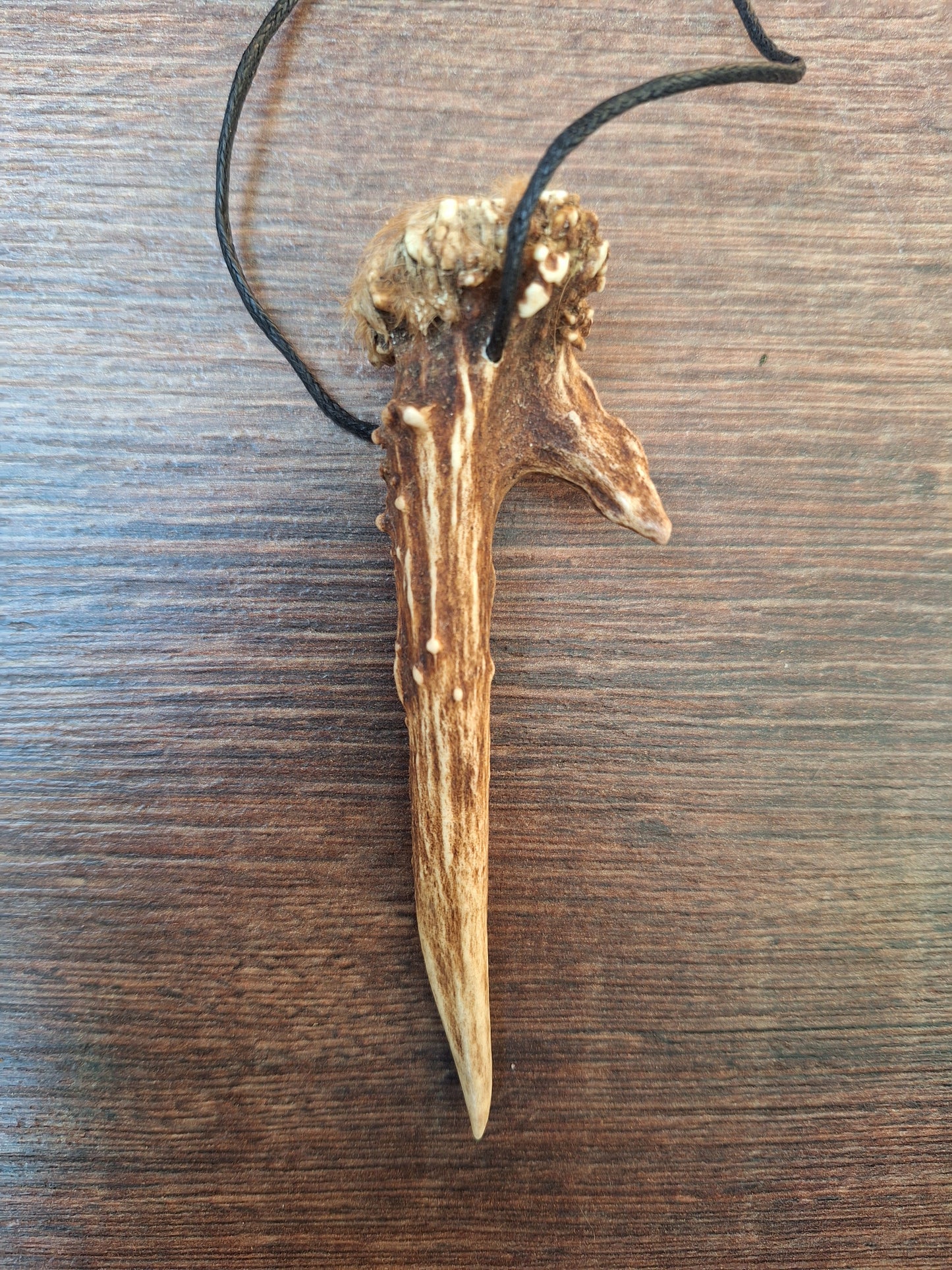 Roe deer antler necklaces