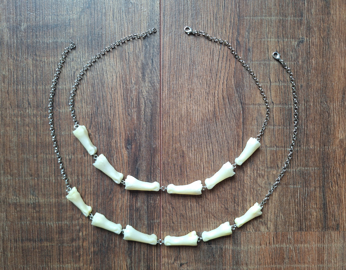 Roe deer foot bones amulet necklace