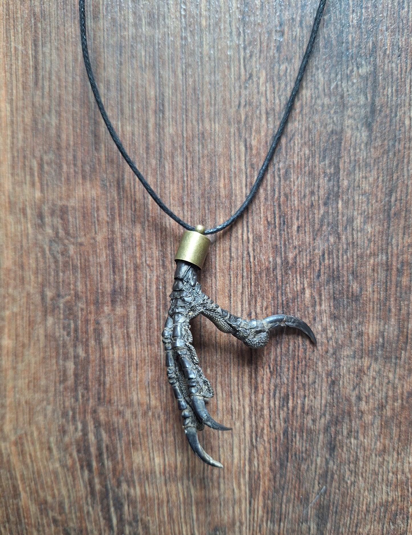 Crow claw amulet necklace