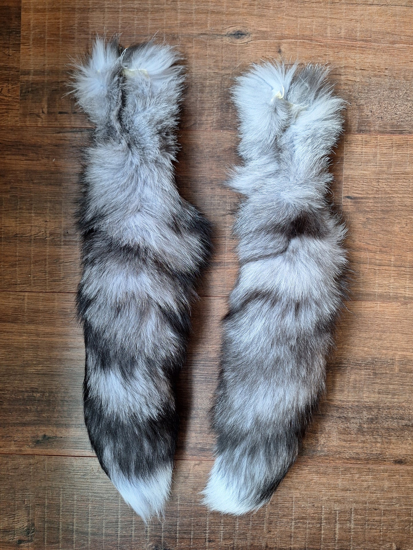 Painted silverfox tails