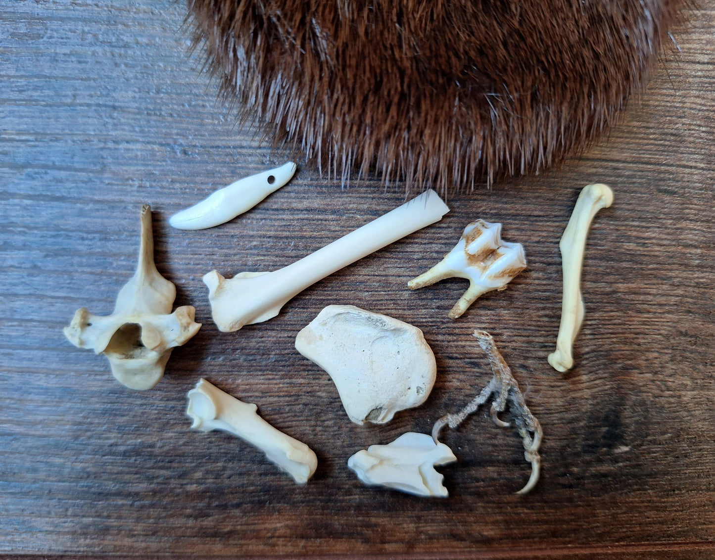 Witch oracle starter set, small