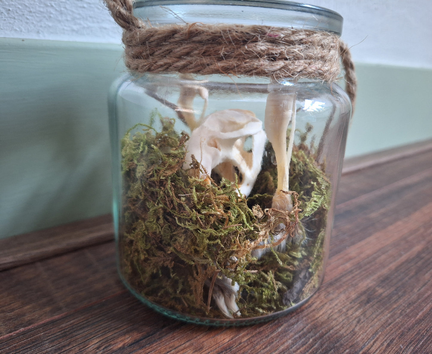 Musk rat set in glass jar