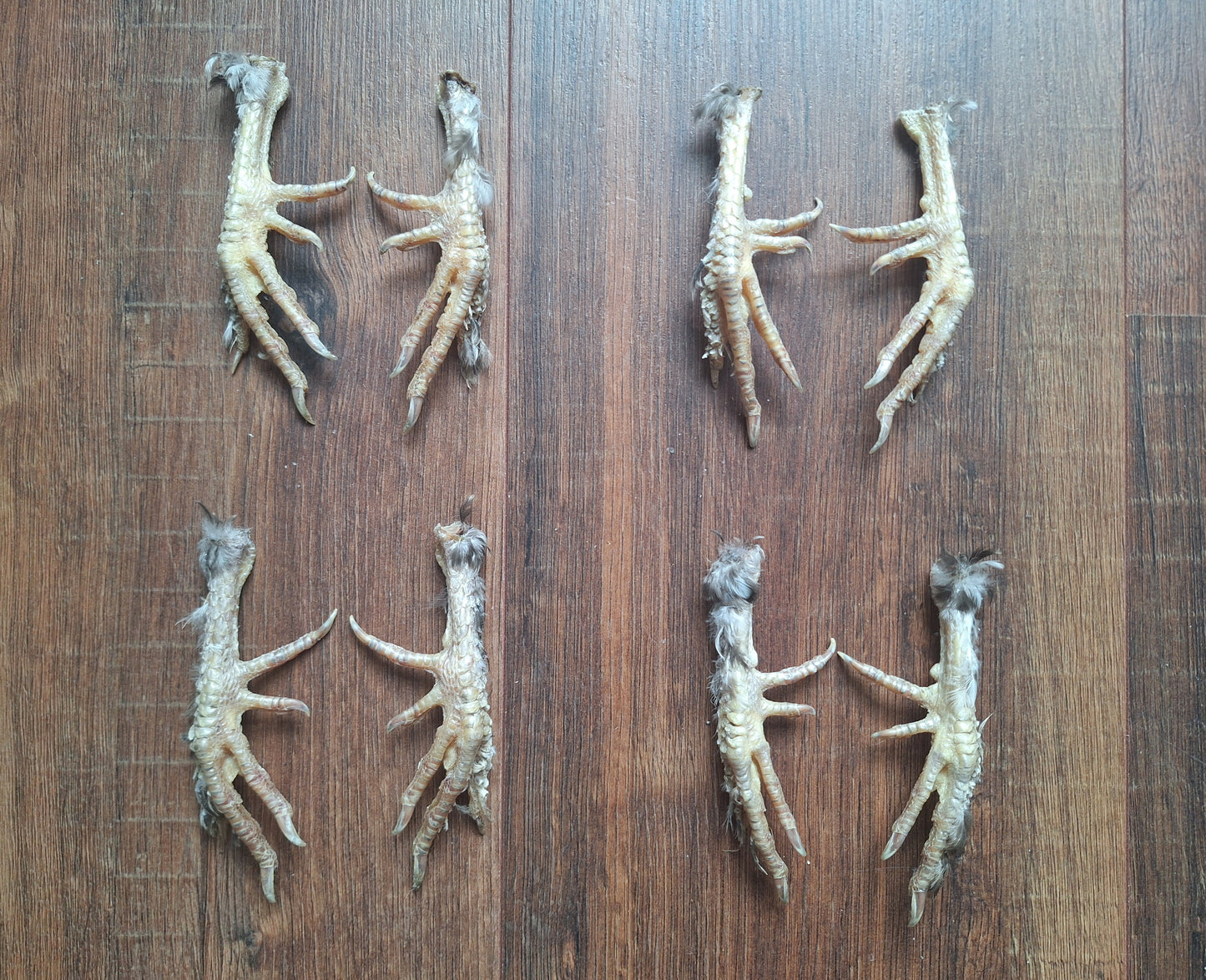 Silkie chicken lower legs, set of 2