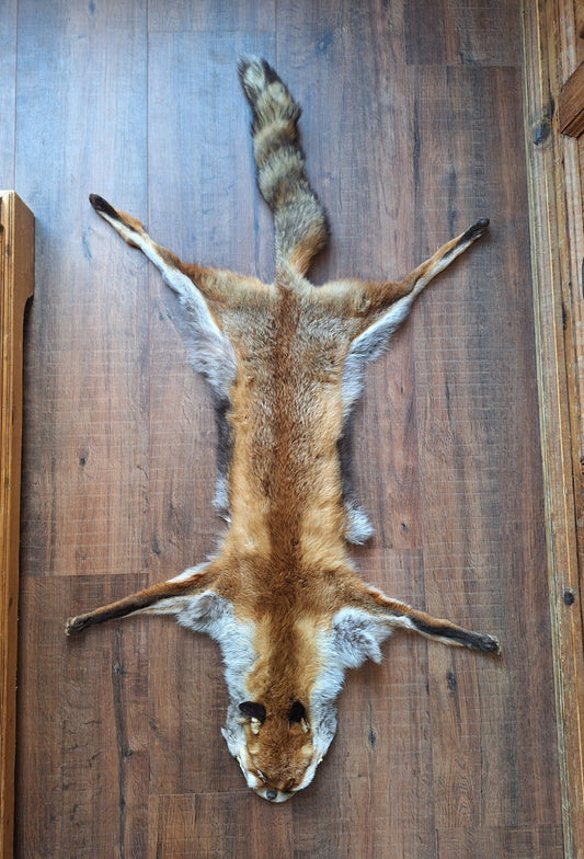 Red fox hide #23