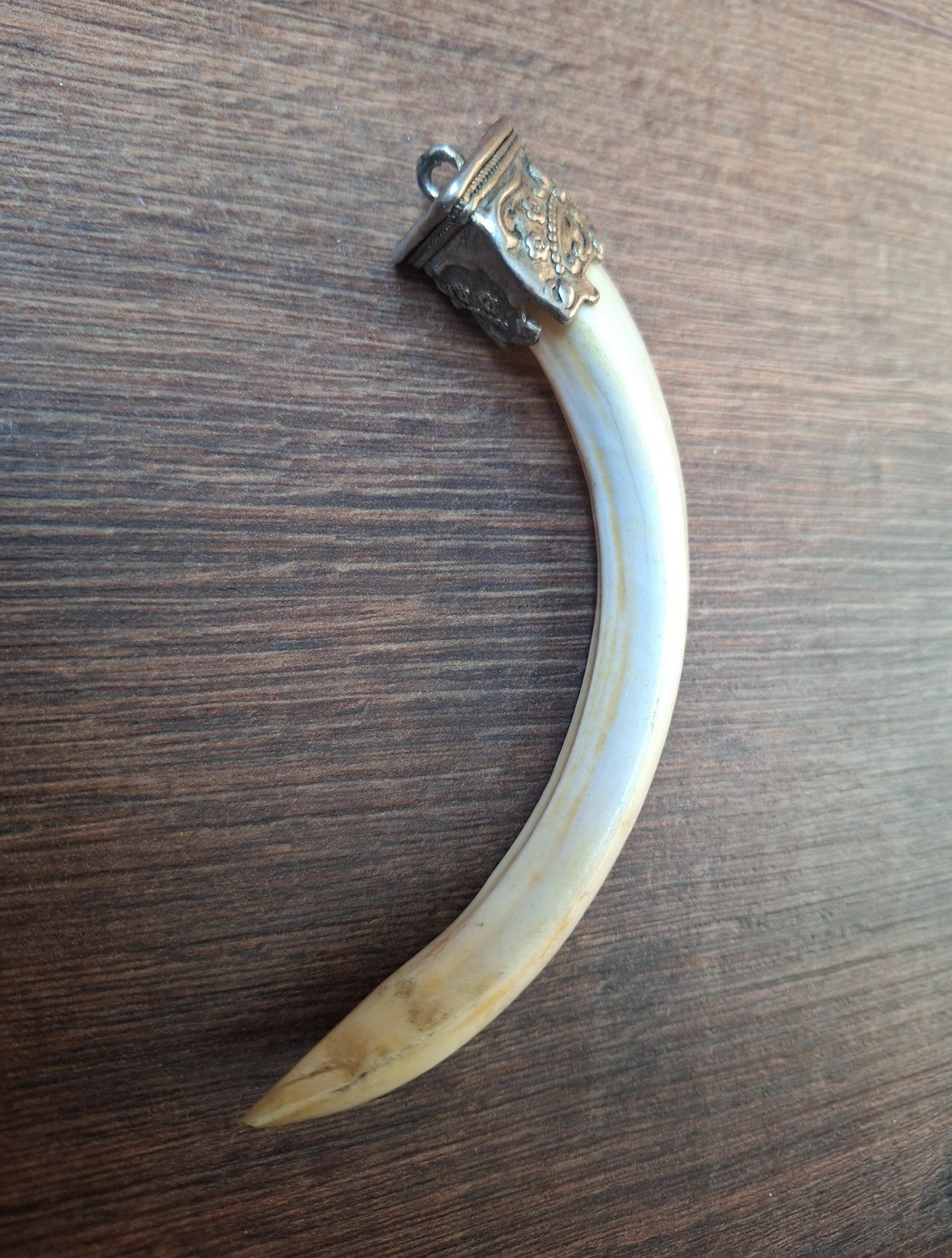 Vintage Nepalese wild boar tusk pendant