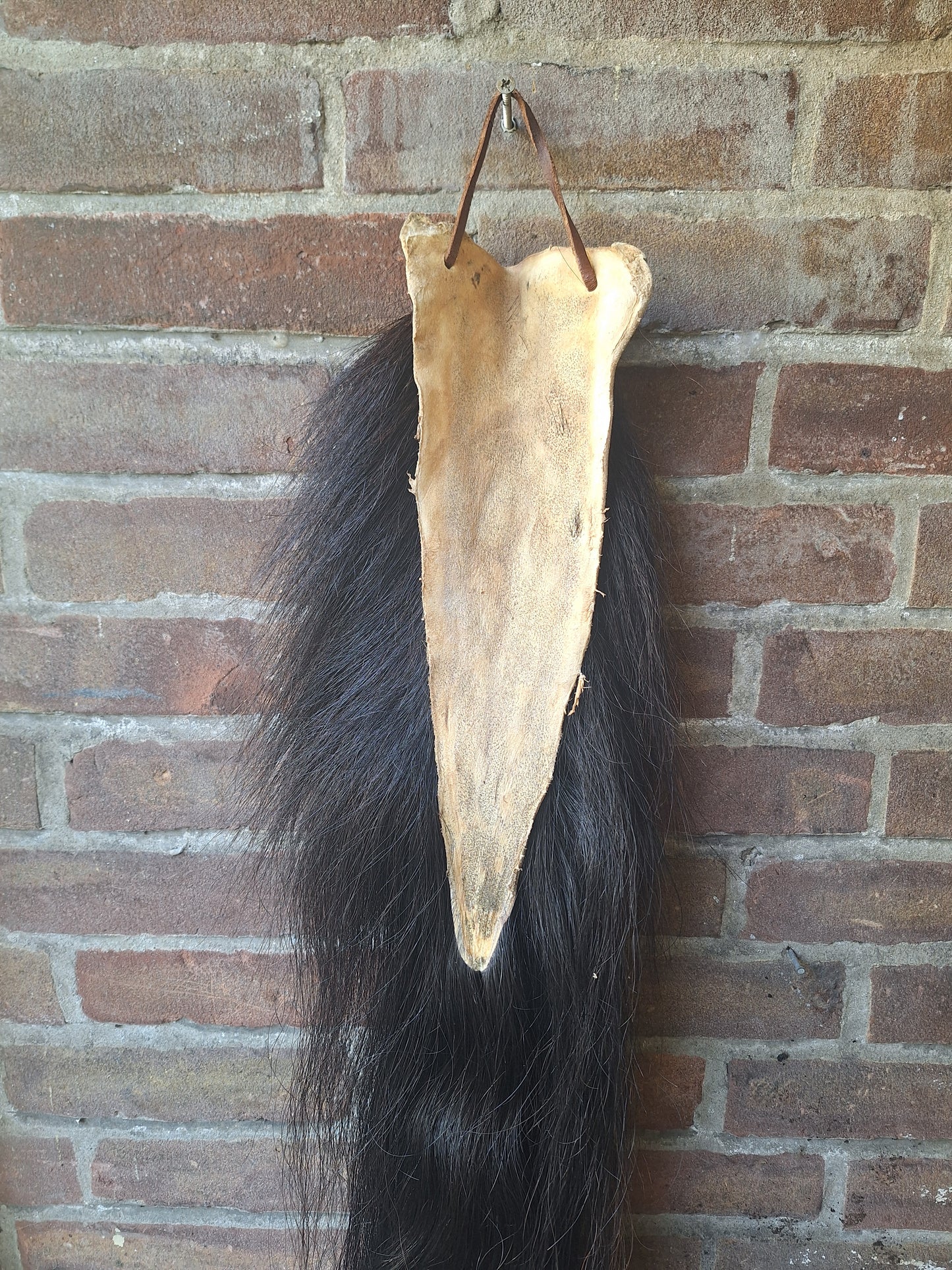 Horse tail #7, complete tail