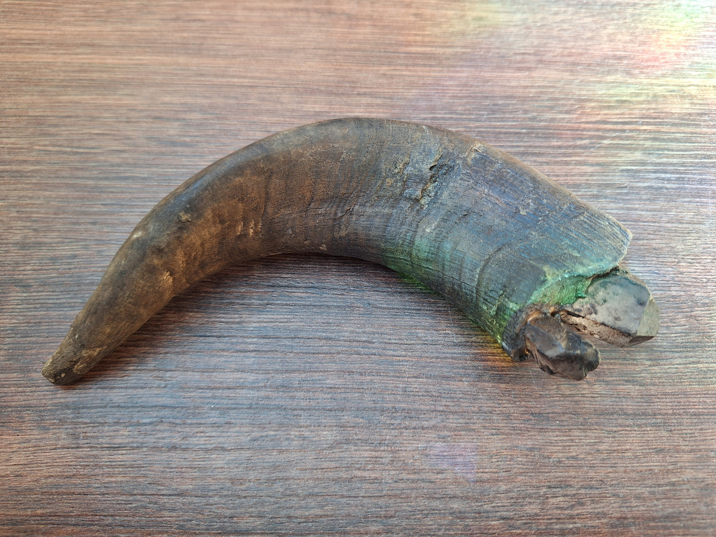 Old Nepalese shamanic horn stick #4
