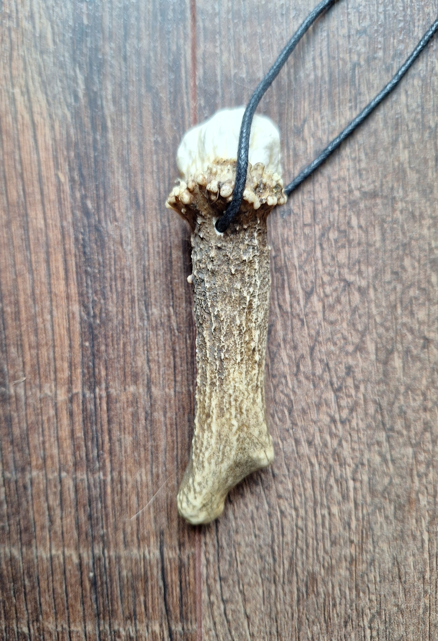 Roe deer antler necklaces