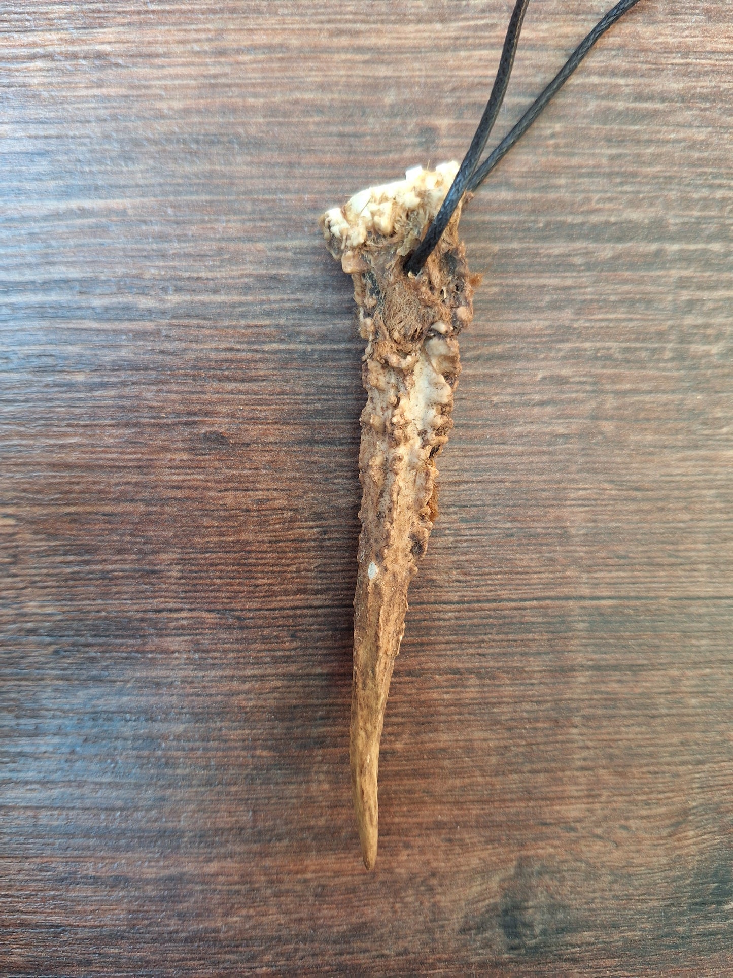 Roe deer antler necklaces