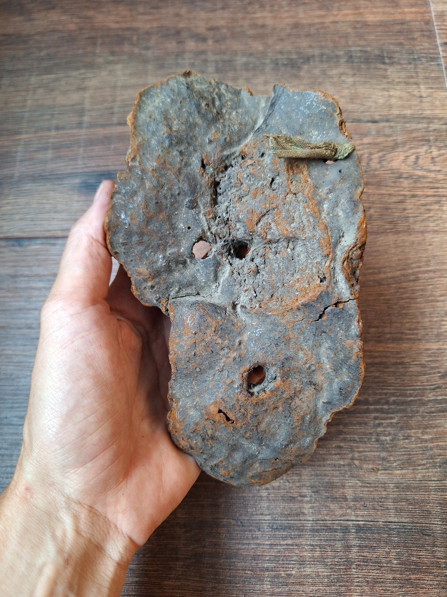 Antique Nepalese mushroom mask #9