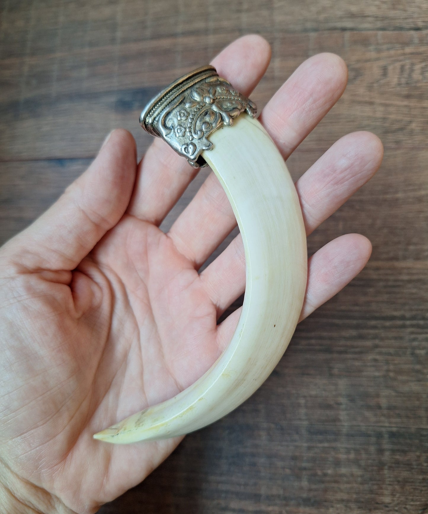 Vintage Nepalese wild boar tusk pendant