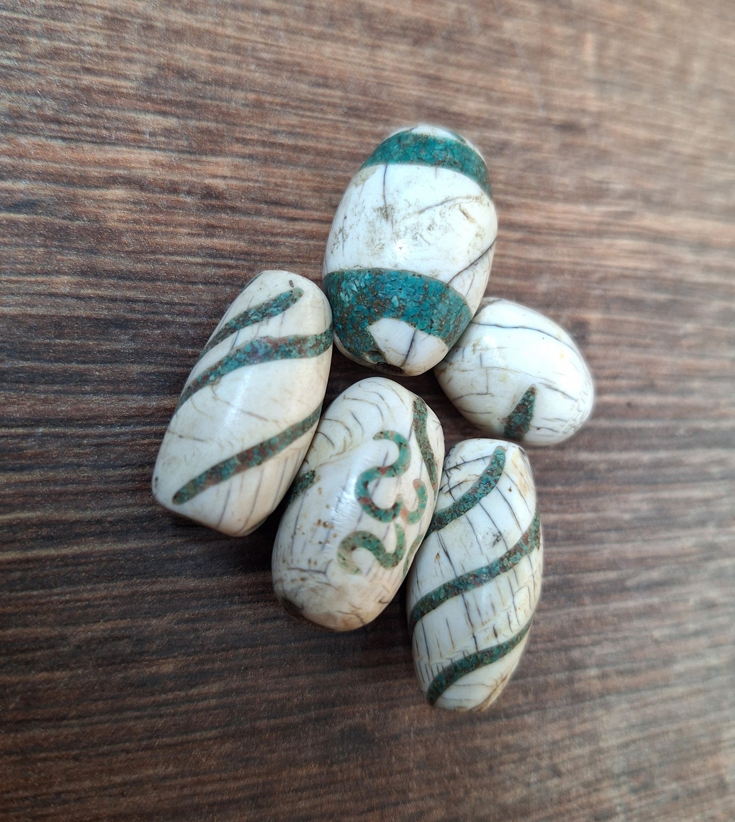 Old conch shell beads with turquoise inlay, set of 5