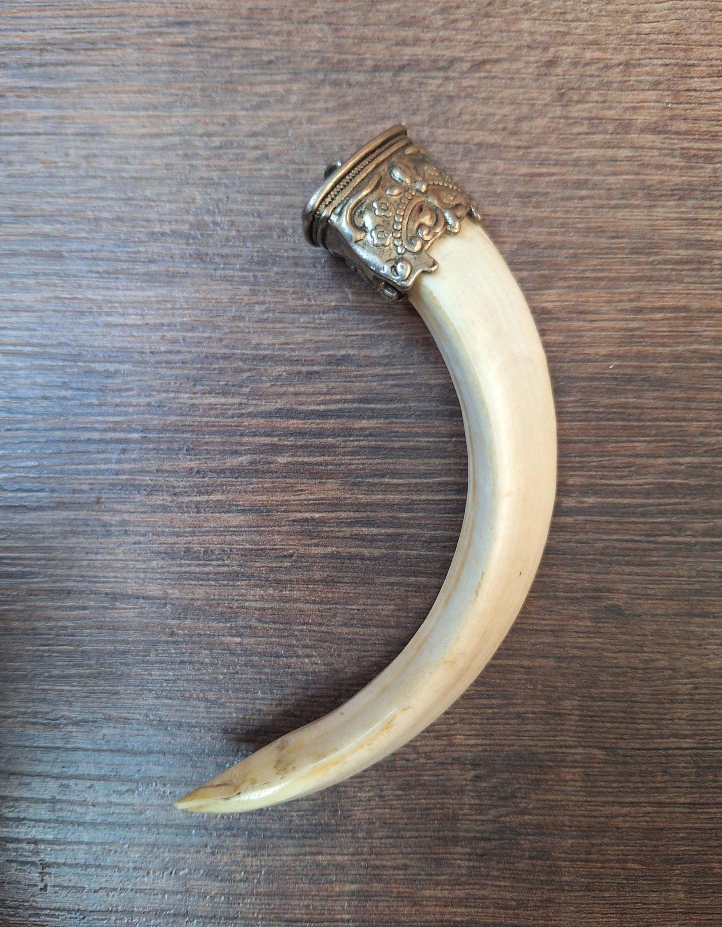 Vintage Nepalese wild boar tusk pendant