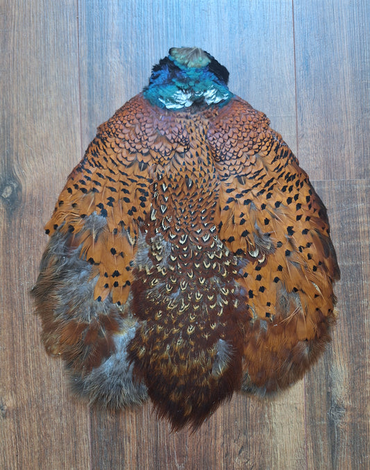 Pheasant skin