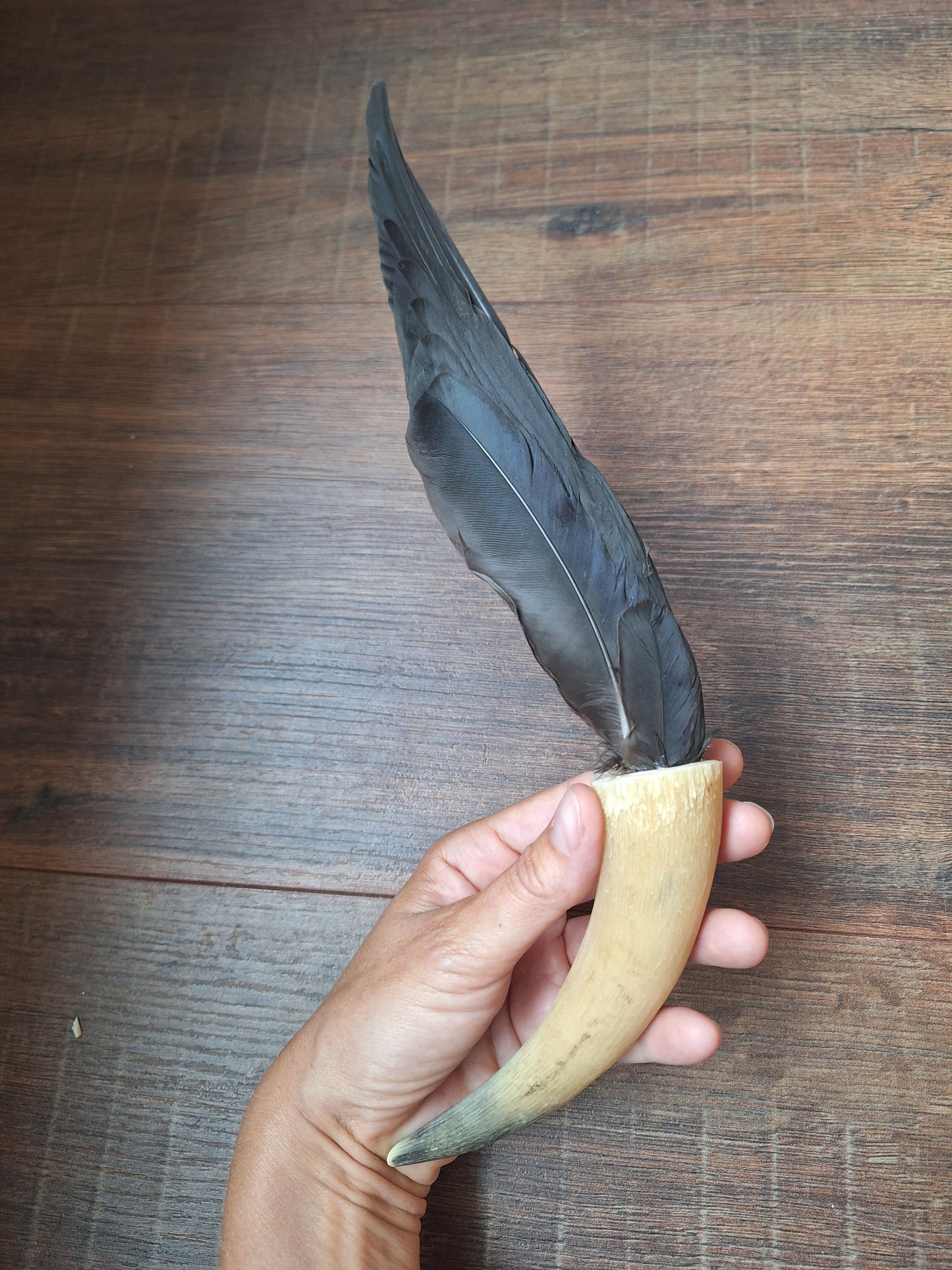 Bone feather fan Crow
