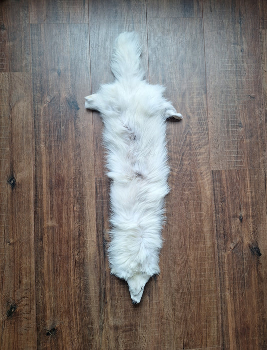 Polar fox hide, B-quality