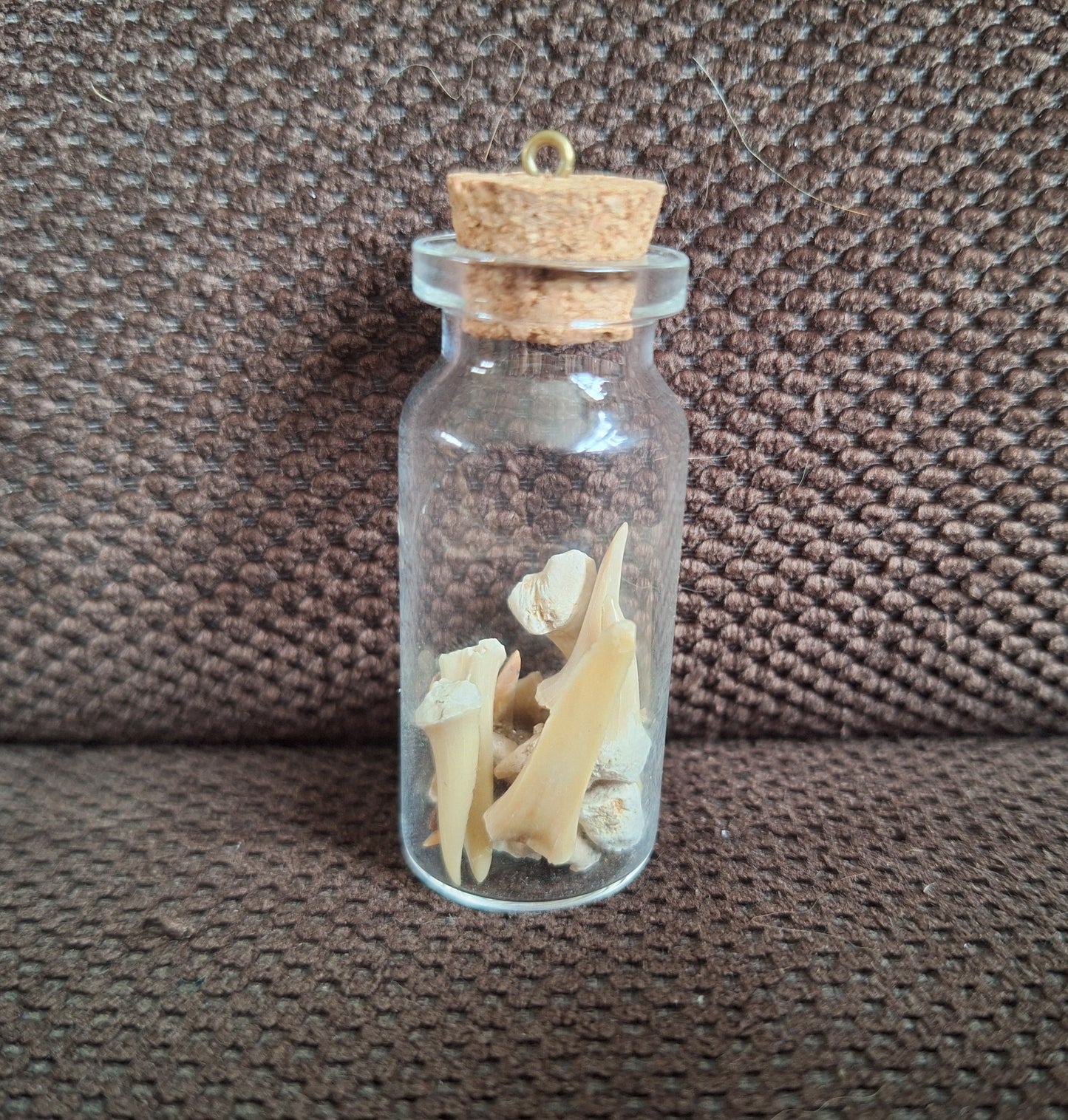 Shark teeth bottle
