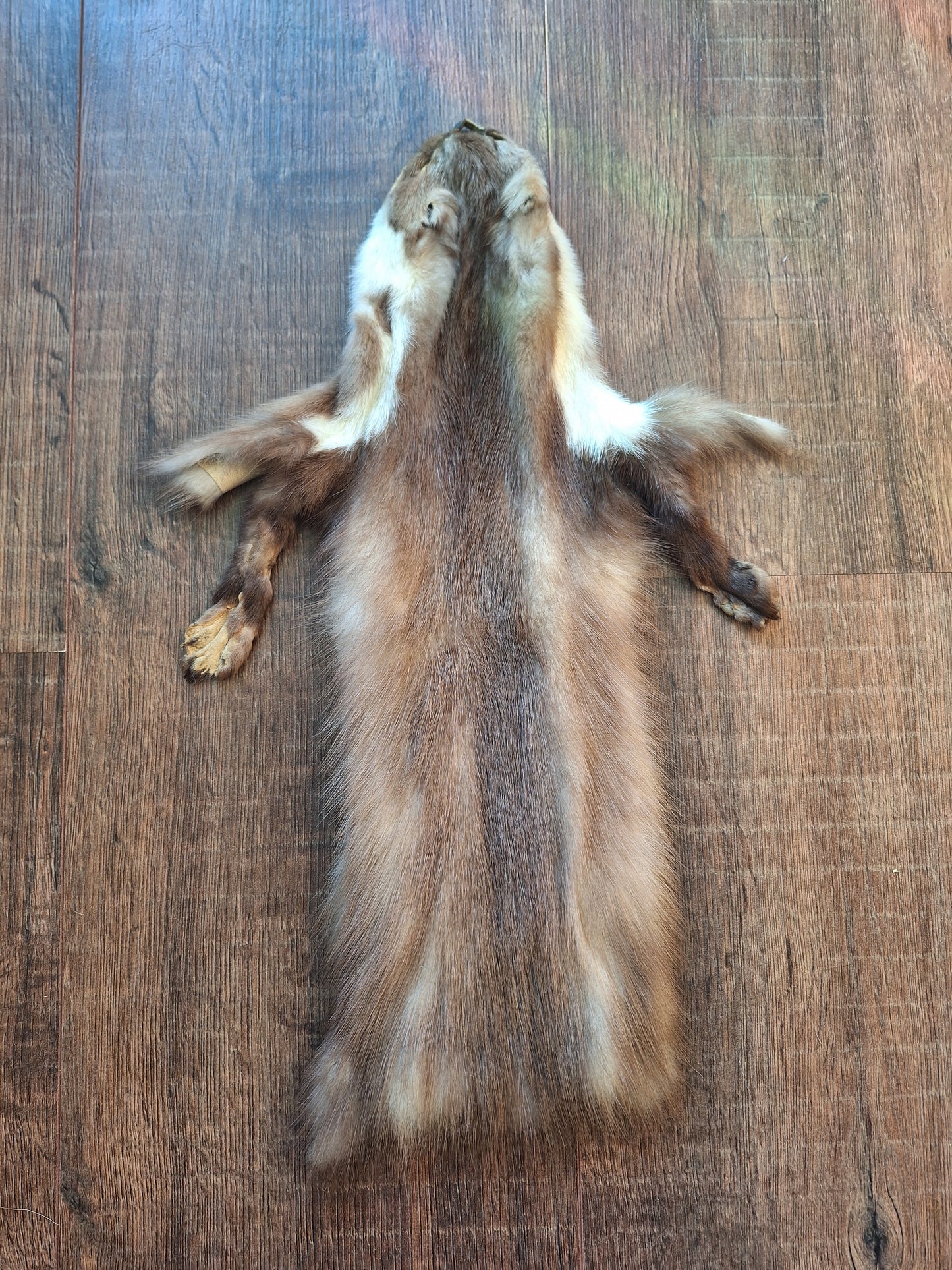 Stone marten hide #6, crafting piece